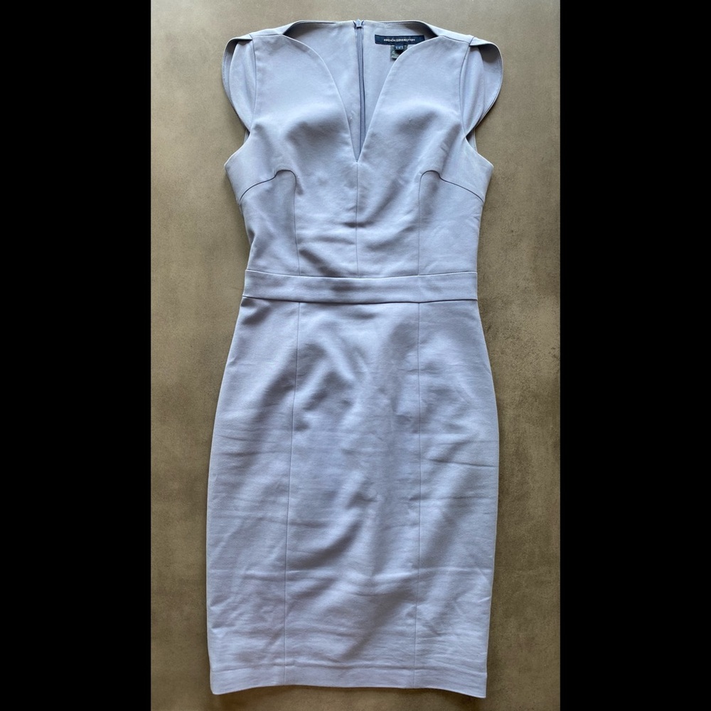 Periwinkle light blue French Connection dress sz 4
